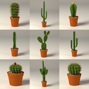 3d cactus pot