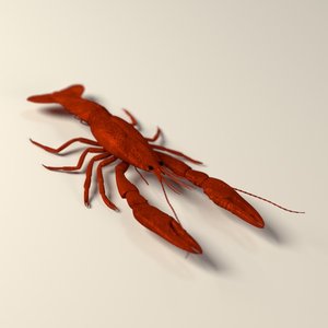 3ds max dead crayfish