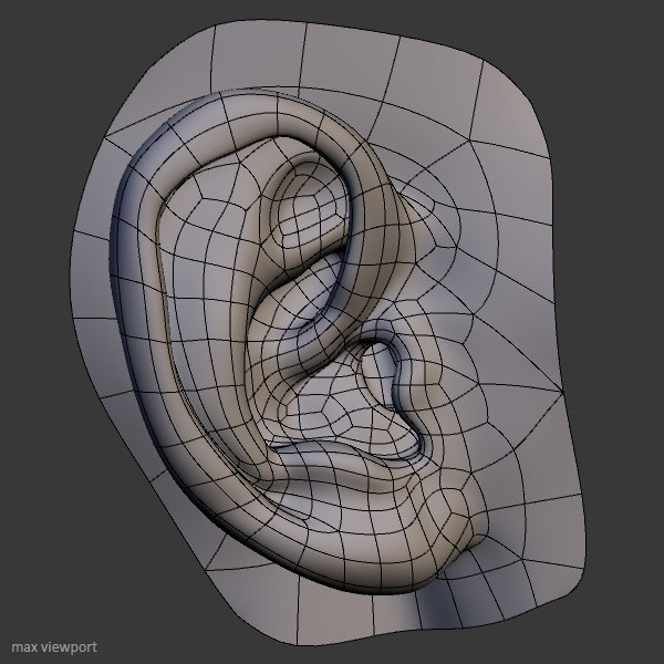 perfect ear 3d model