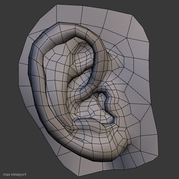 perfect ear 3d model