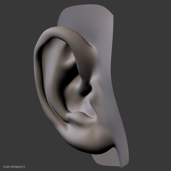 perfect ear 3d model