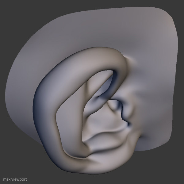 Perfect Ear 3d Model