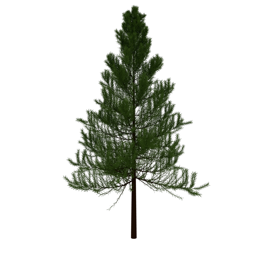 evergreen tree 3d obj