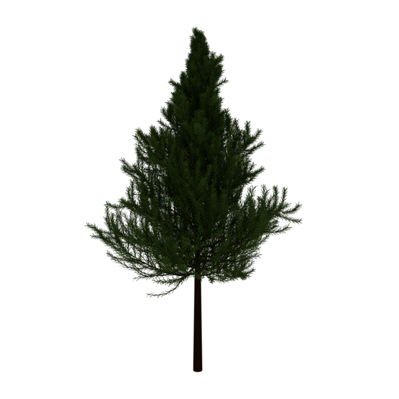evergreen tree 3d obj