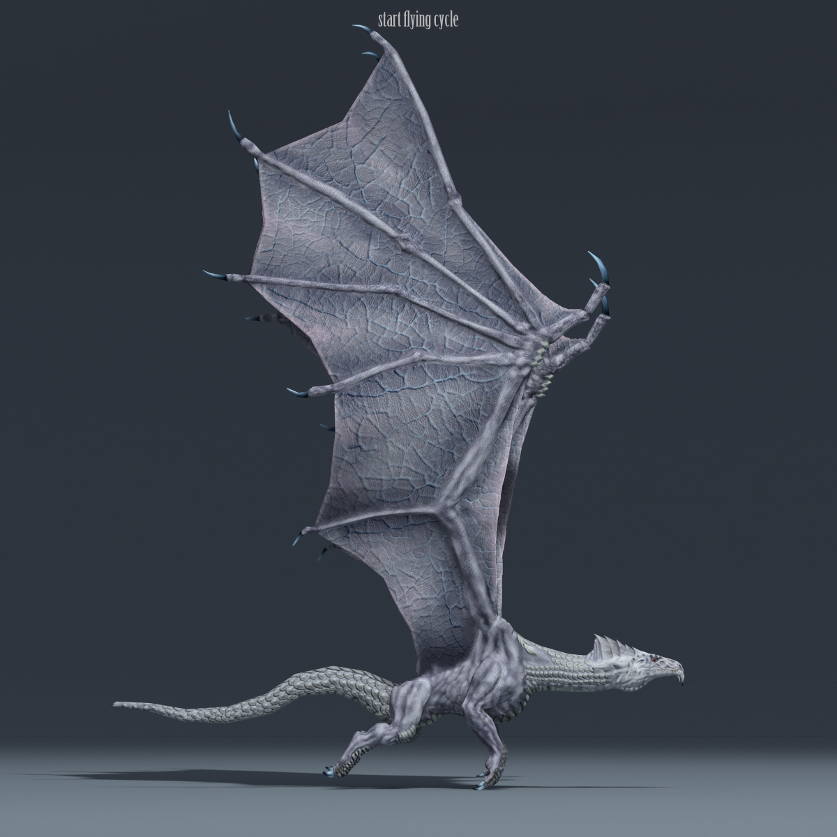 3ds max white dragon character