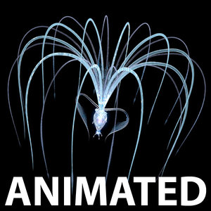 3d animation seed model