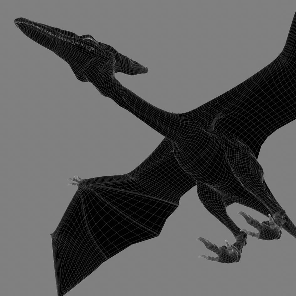 pterodactyl 3d google