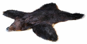 3d model skin bear fur