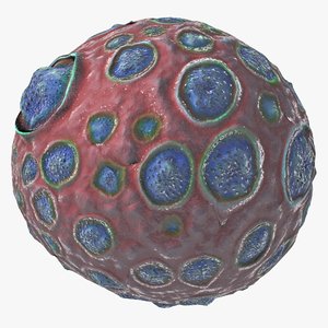 infectious anemia virus 3d model