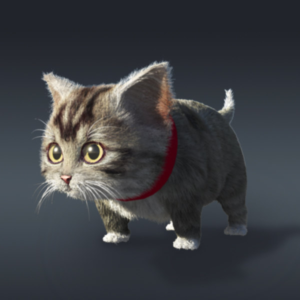 baby cat  fur 3d  model 