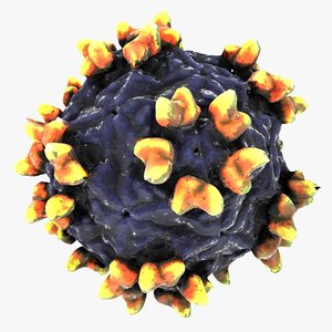 3d human rhinovirus