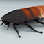 bugs set rhinoceros 3d 3ds