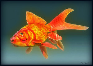 goldfish fish 3d model