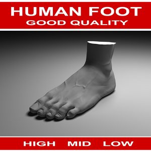 human foot 3d obj