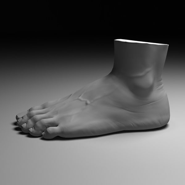 human foot 3d obj