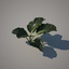 3d model ground cover 9