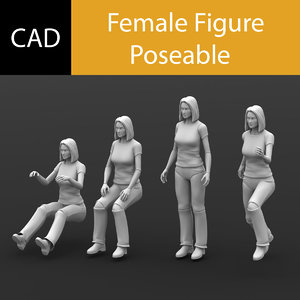 3dm poseable male female solidworks