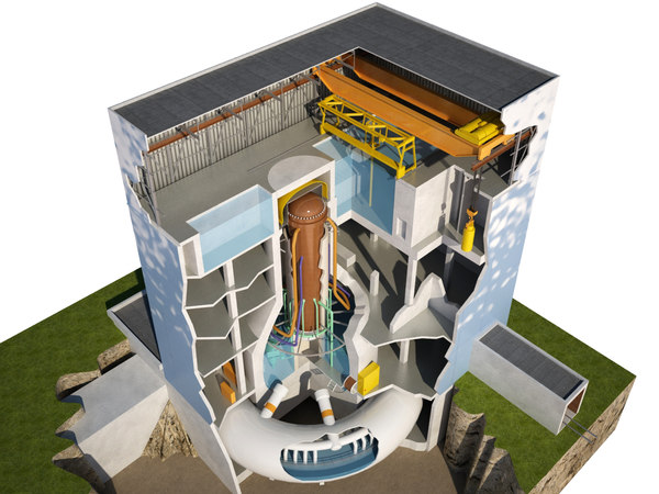 3d model of reactor nuclear