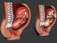 3dsmax childbirth sequence