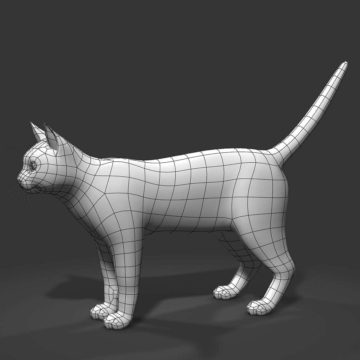 cat feline obj