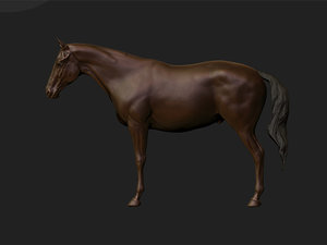 3d model stallion mare