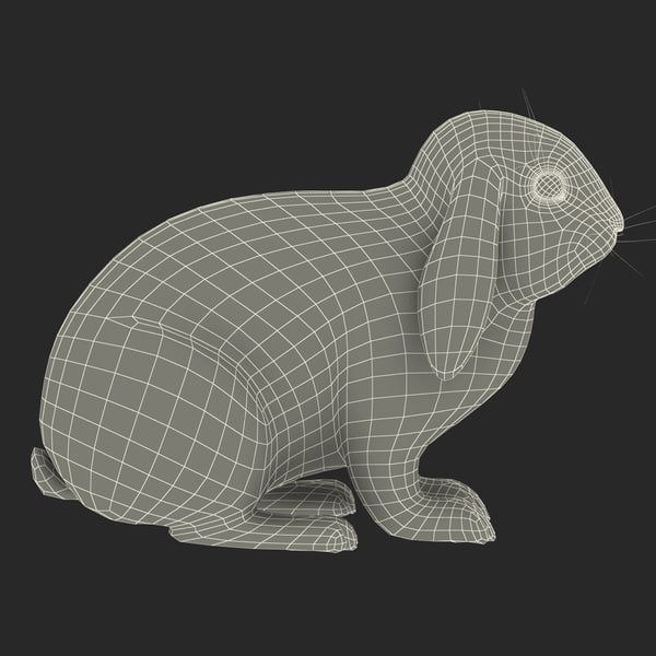 rabbit black 3d model