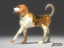 3d model beagle animals