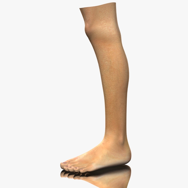 realistic female leg 3d model