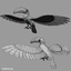 realistic flying toucan 3d model