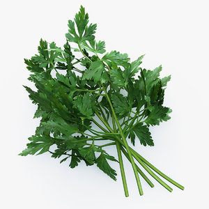 parsley use max