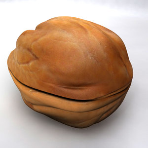 3d model walnut nut