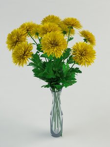 3d mums chrysanthemums model