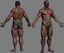max realistic male bodybuilder human man