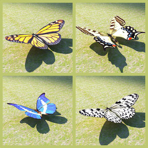 4 butterflies set 3d model