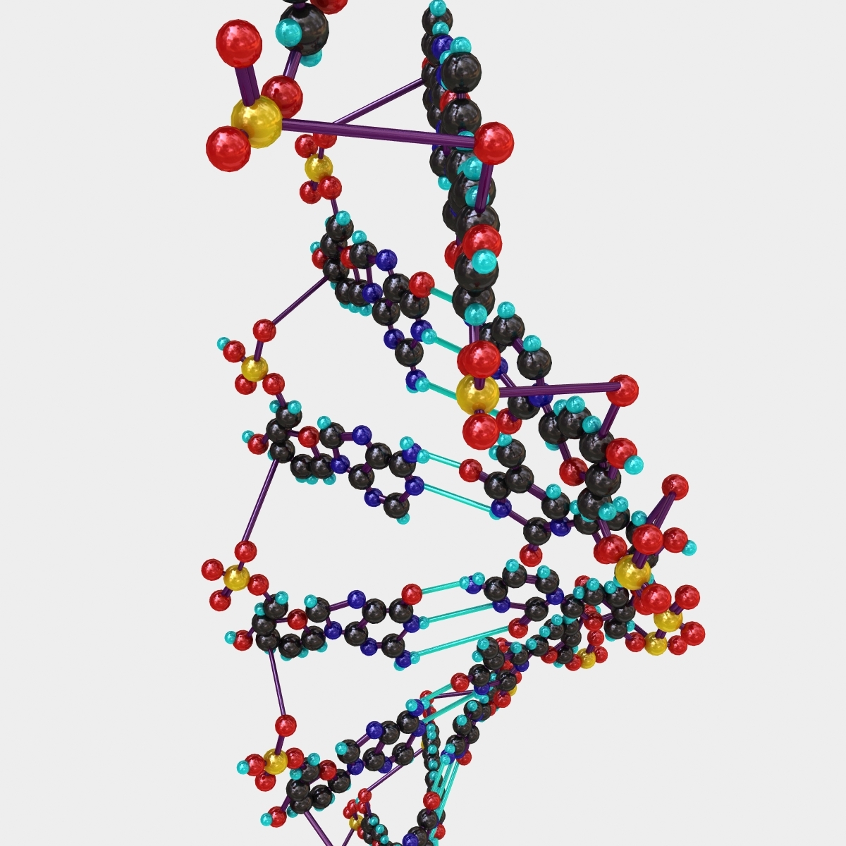 lightwave dna modelled