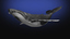 3d humpback whale hump