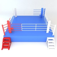 toy boxers in ring