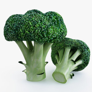 broccoli use 3d model