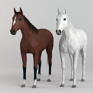 3d realistic horse games model