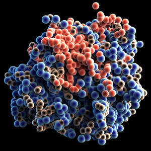 3d model protein molecule