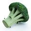 3d model vegetables broccoli cabbage