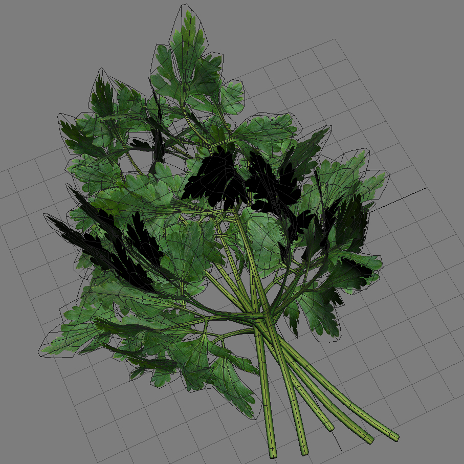 3d model vegetables broccoli cabbage https://static.turbosquid.com/Preview/2014/07/06__16_25_20/Collection_Vegetable.jpg3085dac1-f69b-44a0-a583-eac1c8d40e1eDefault.jpg