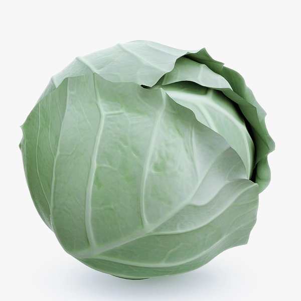 3d model vegetables broccoli cabbage https://static.turbosquid.com/Preview/2014/07/06__16_25_20/Collection_Vegetable.jpg3085dac1-f69b-44a0-a583-eac1c8d40e1eDefault.jpg