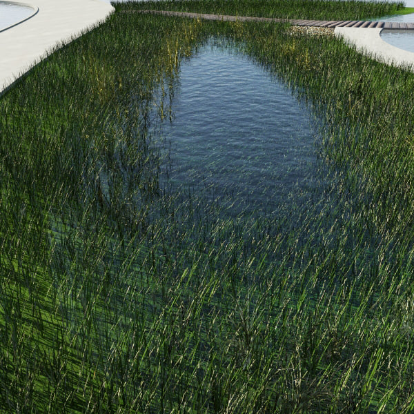 3d model pond - lake