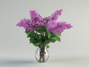 3d lilac flower