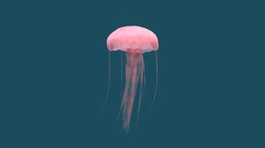 maya jellyfish