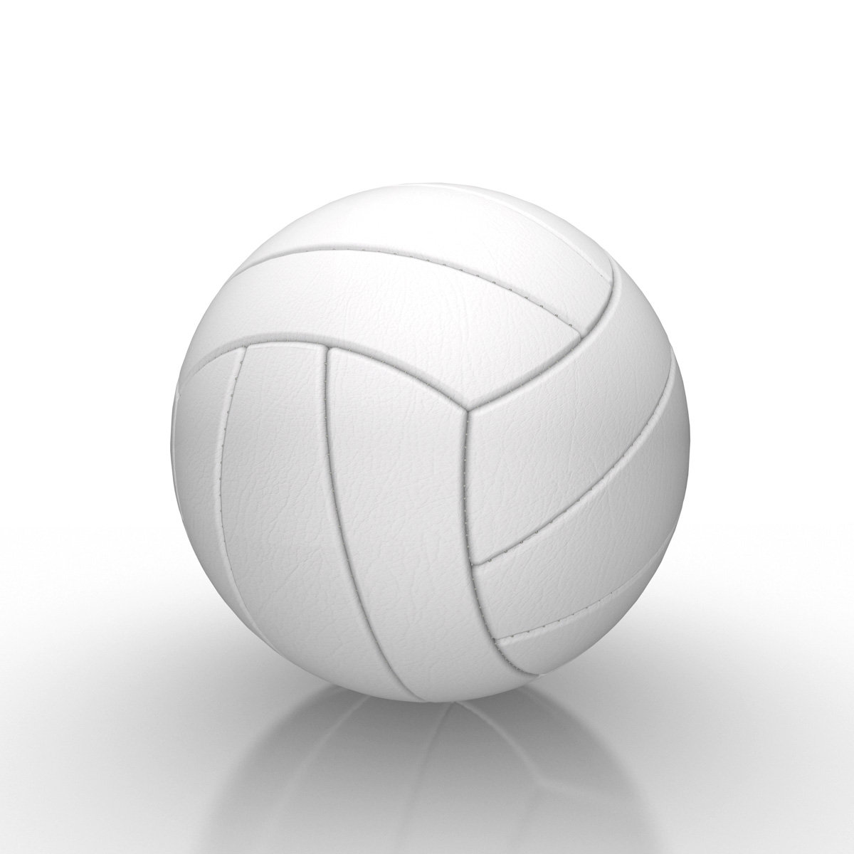 3d volleyball volley ball model