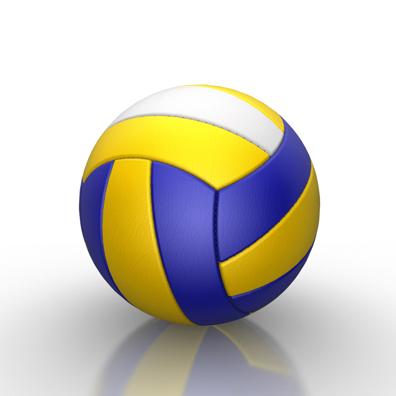 3d volleyball volley ball model