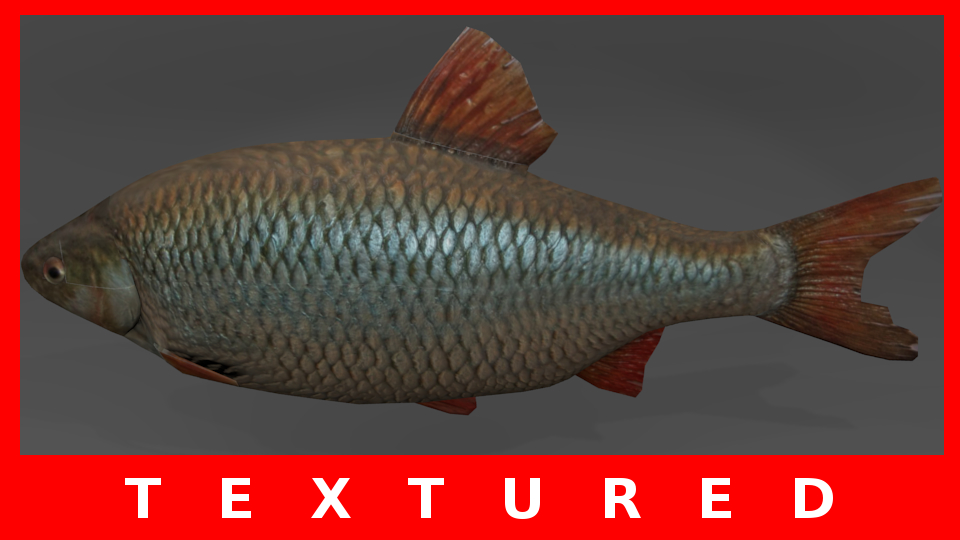 Free Fish Blender Models for Download | TurboSquid