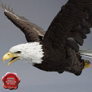 3d model bald eagle pose 3